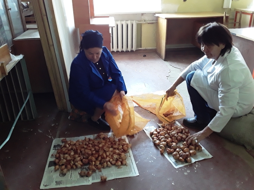 Accounting process for the preservation of the mother liquor of onions.