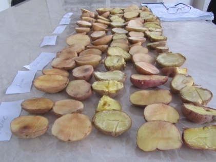 Дегустационная оценка, определение пенообразующей способности, потемнения вареного и сырого картофеля