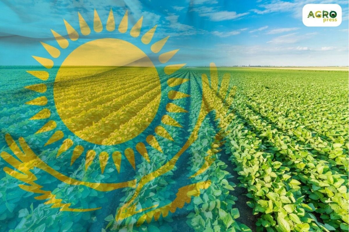 Нейлондағы порно