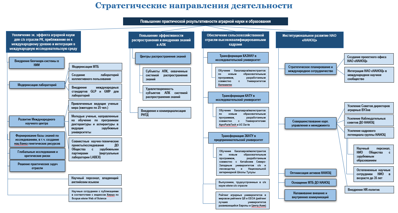 Структура стратегических инициатив Общества